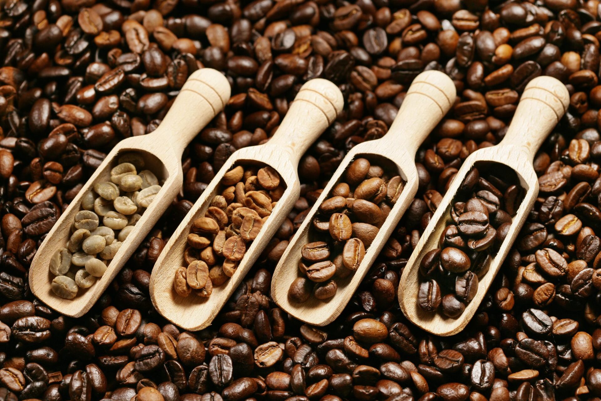 Roasted coffee flavour inspiration