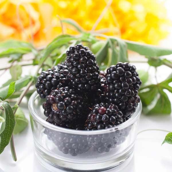 G2 Blackberry 6001 flavour ingredients