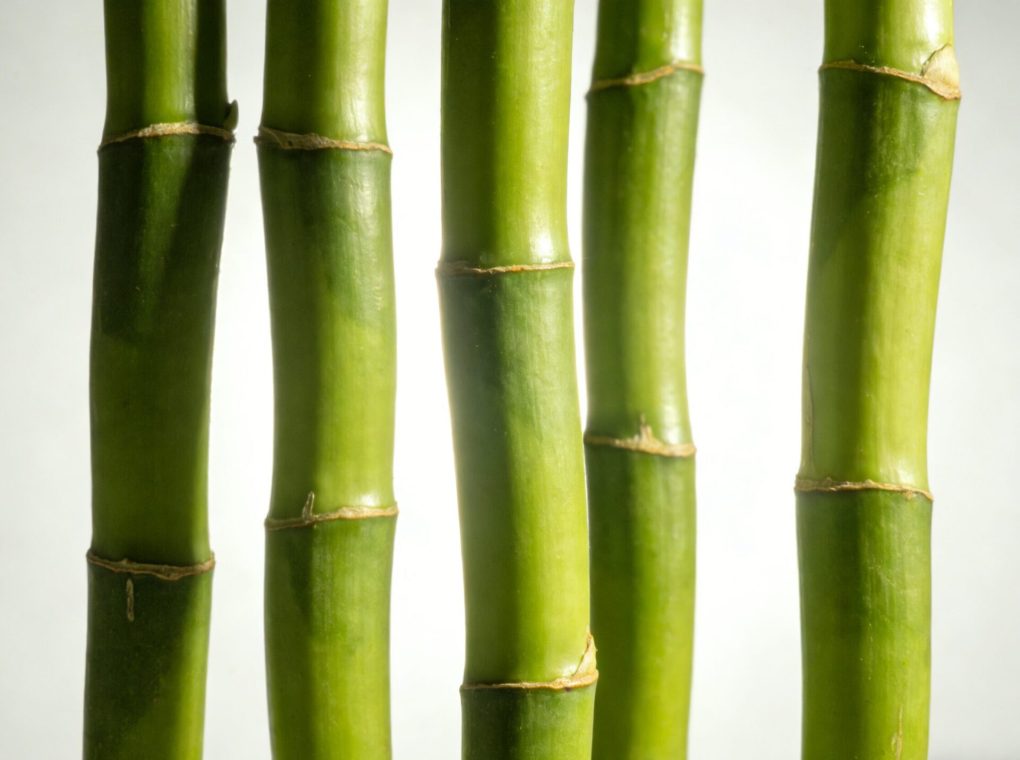 Bamboo 1001 flavour ingredients
