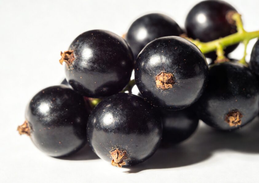Blackcurrant 3005 flavour ingredients